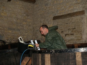 Wine making experience in France
