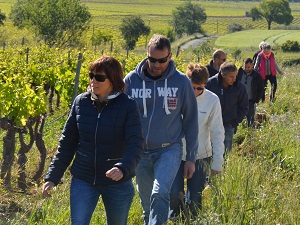 Vineyard tour at Domaine Allegria Languedoc France
