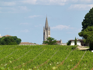 Wine-making experience in Bordeaux France