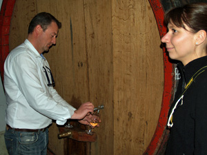 Organic wine tasting gift experience in an organic Alsace winery