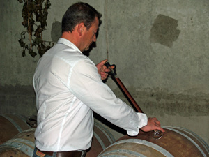 Wine-making gift experience with the winemaker