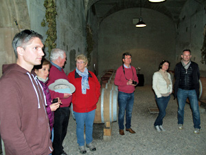 Winery tour and wine cellar visit in Alsace, France