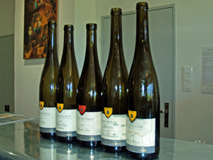 Organic wine tasting with the winemaker in Alsace