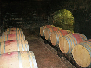 Winery and cellar tour gift in Burgundy, France