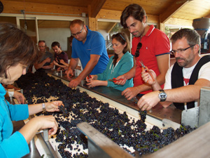 Wine-making experience weekend in Burgundy, France