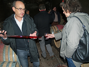 Wine making experience in Burgundy