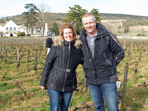 Rent a vine in Burgundy