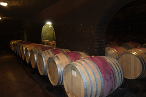 Make your own wine gift in an organic French winery