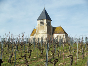 Wine making experience gift in Chablis, France