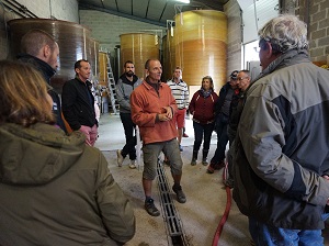 wine-making experience in a biodynamic vineyard in france