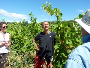 Wine-making experience gift in a biodynamic vineyard