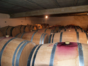 Visiting the oak wine barrels