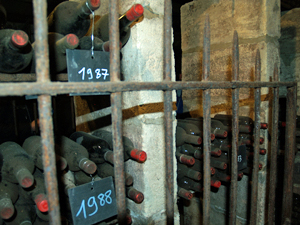 Cellar tour and visit in Saint-Emilion with the winemaker