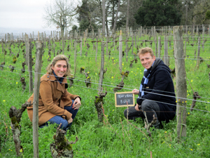 Rent-a-vine-gift in an award-winning organic vineyard