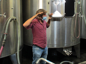 Winery tour and experience day with the winemaker