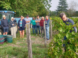 The winemaker explained how to pick the grapes 