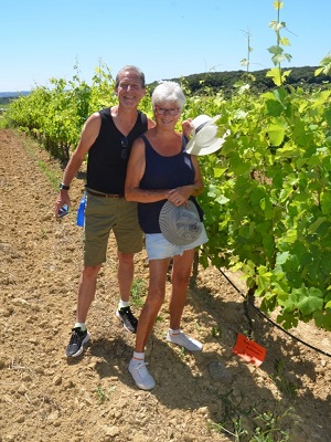 Adopt-a-vine experience in an organic French vineyard as a gift