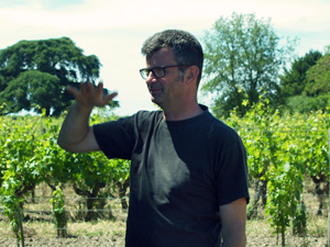 Organic vine tending lessons in the Loire Valley, France