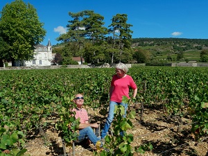 Adopt a vin experience in Burgundy france