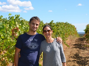 Vine adoption and harvest experience day in the South of France