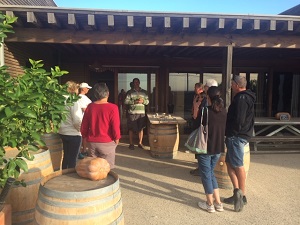 Meet an organic winemaker in teh Languedoc area France