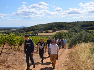 Adopt-a-vine-experience at Domaine Allegria in Languedoc, France