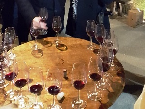 Wine tasting and wine-making course in France
