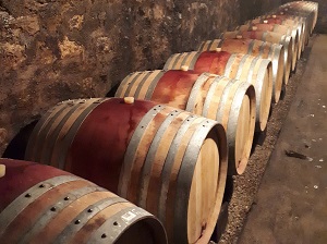 Cellar visit gift box in Burgundy, France