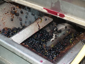 Small quantity of the 2018 vintage for organic french wines