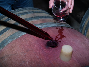 learn winemaking with a winemaker during the Vinification Experience Day