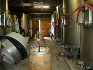 Wine-making exerience gift in Saint Emilion