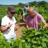 Customer feedback organic adopt-a-vine gift in the Terrasses du Larzac
