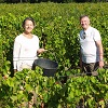 Client rating, rent an organic vine, Mondragon, Rhone Valley, France