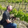 Customer feedback, adopt your own plot of vines, Cotes du Rhone, France