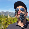 Customer feedback organic adopt-a-vine gift in the Languedoc