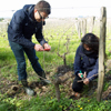 Customer feedback, sponsor a vine in Saint Emilion and make your own organic wine