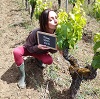 Customer reference, vine debudding experience gift experience in Bordeaux, France