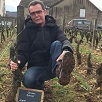 Customer rating, adopt your own plot of vines, Burgundy, France