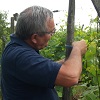 Customer rating, adopt your own plot of vines, alsace, France