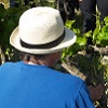 Customer feedback, organic vine adoption, Cotes du Rhone, France