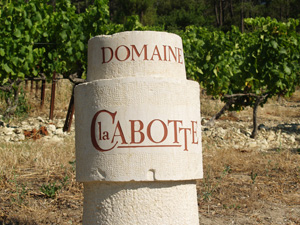 Rent-a-vine wine experience gift in the Côtes du Rhône with Domaine la Cabotte
