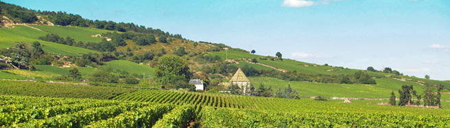 Gastronomy and wine experience gifts in Burgundy, France
