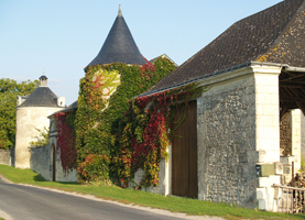 Rent-a-vine gift in the Loire Valley, France. Original Wine Experience Gifts