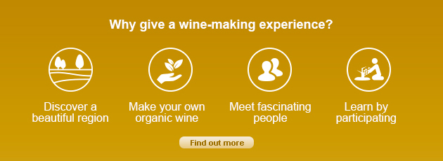 Why give a wine-making experience?