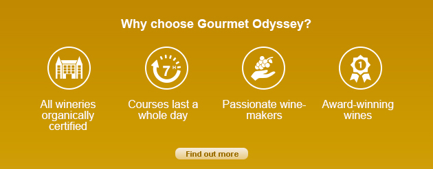 Unique wine experience with Gourmet Odyssey