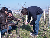 Get the behind the scenes vineyard tour in France and get involved in your own wine making experience