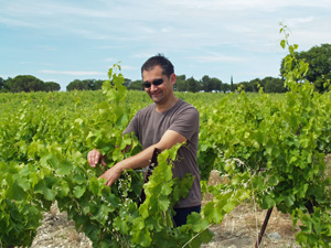 Wine tasting in France