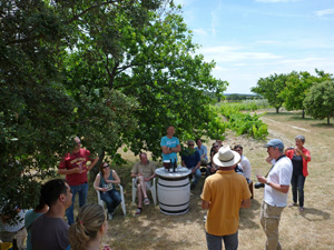 Tasting Organic wines in France with Gourmet Odyssey