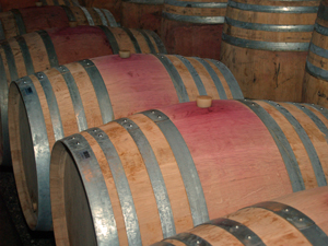 Wine Experience Gift in France. Learn how wine in made at the winery.
