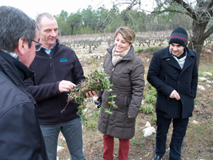 Wine lover gift in Rhône Valley